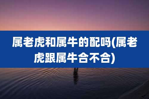 属老虎和属牛的配吗(属老虎跟属牛合不合)