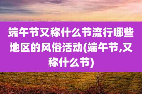 端午节又称什么节流行哪些地区的风俗活动(端午节,又称什么节)
