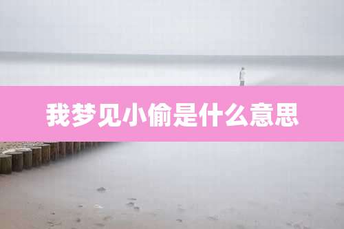 我梦见小偷是什么意思