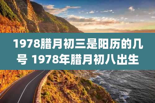 1978腊月初三是阳历的几号 1978年腊月初八出生
