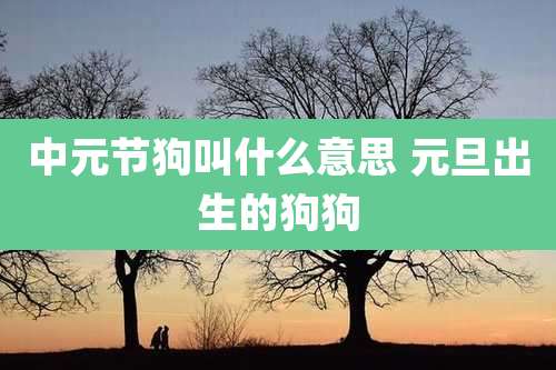 中元节狗叫什么意思 元旦出生的狗狗