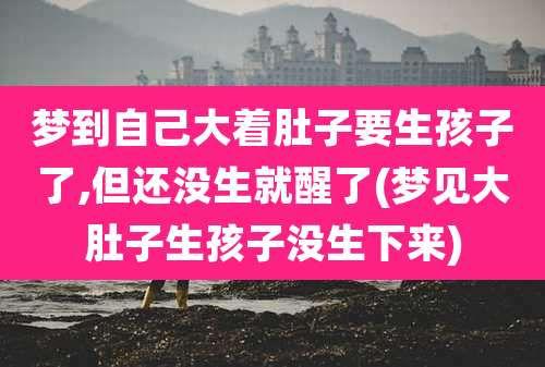 梦到自己大着肚子要生孩子了,但还没生就醒了(梦见大肚子生孩子没生下来)