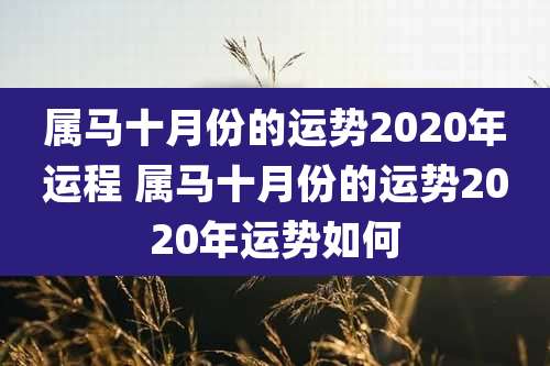属马十月份的运势2020年运程 属马十月份的运势2020年运势如何