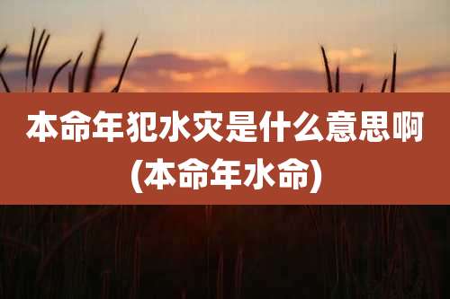 本命年犯水灾是什么意思啊(本命年水命)