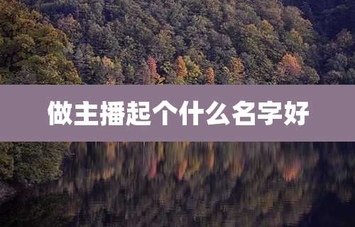 做主播起个什么名字好