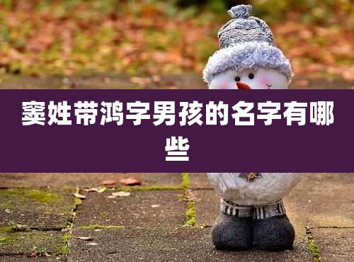 窦姓带鸿字男孩的名字有哪些