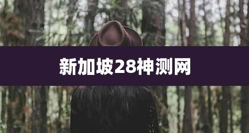 新加坡28神测网
