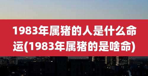 1983年属猪的人是什么命运(1983年属猪的是啥命)