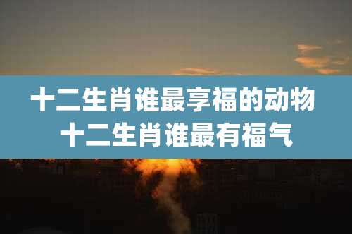 十二生肖谁最享福的动物 十二生肖谁最有福气