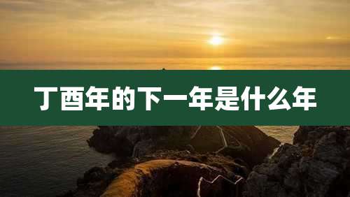 丁酉年的下一年是什么年