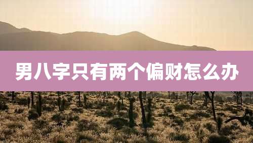男八字只有两个偏财怎么办