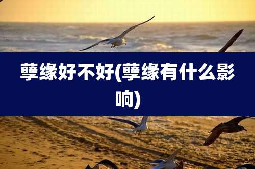 孽缘好不好(孽缘有什么影响)