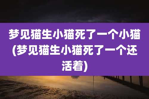 梦见猫生小猫死了一个小猫(梦见猫生小猫死了一个还活着)