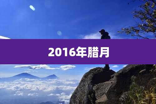 2016年腊月