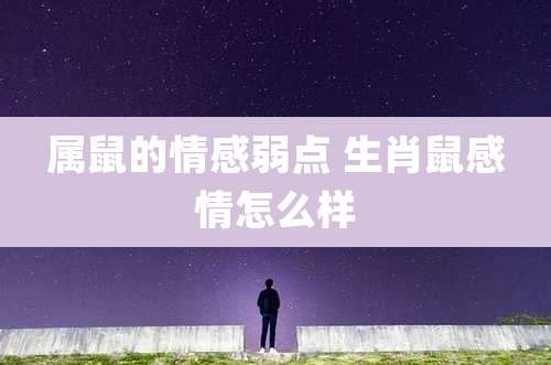属鼠的情感弱点 生肖鼠感情怎么样