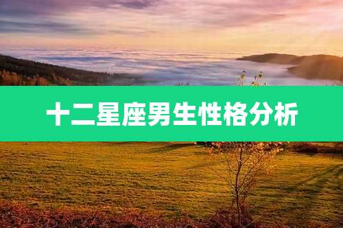 十二星座男生性格分析