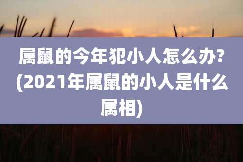 属鼠的今年犯小人怎么办?(2021年属鼠的小人是什么属相)