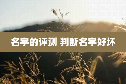 名字的评测 判断名字好坏