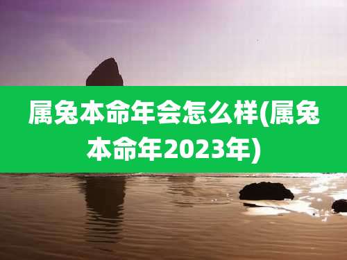 属兔本命年会怎么样(属兔本命年2023年)