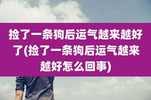 捡了一条狗后运气越来越好了(捡了一条狗后运气越来越好怎么回事)