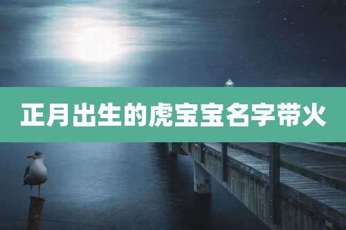 正月出生的虎宝宝名字带火