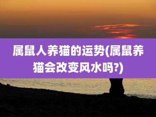 属鼠人养猫的运势(属鼠养猫会改变风水吗?)