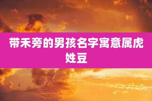 带禾旁的男孩名字寓意属虎姓豆