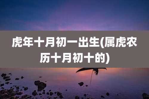 虎年十月初一出生(属虎农历十月初十的)