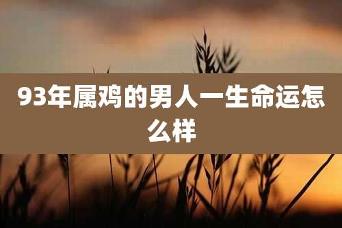93年属鸡的男人一生命运怎么样