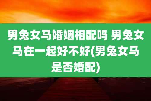 男兔女马婚姻相配吗 男兔女马在一起好不好(男兔女马是否婚配)