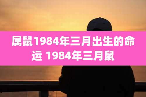 属鼠1984年三月出生的命运 1984年三月鼠