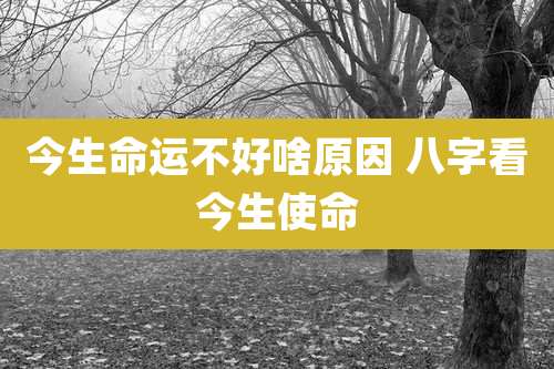 今生命运不好啥原因 八字看今生使命
