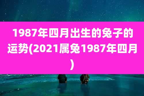 1987年四月出生的兔子的运势(2021属兔1987年四月)