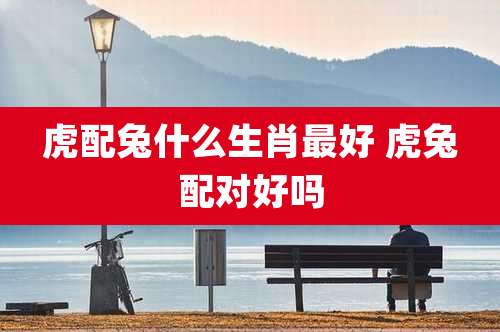 虎配兔什么生肖最好 虎兔配对好吗