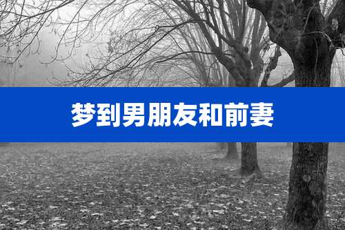 梦到男朋友和前妻