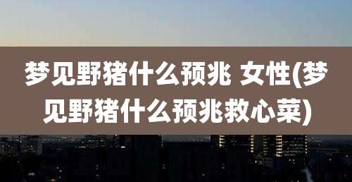 梦见野猪什么预兆 女性(梦见野猪什么预兆救心菜)