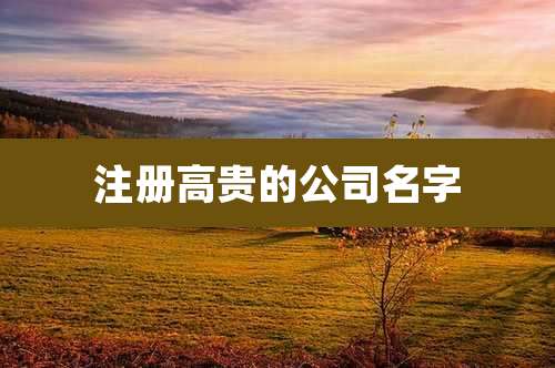 注册高贵的公司名字