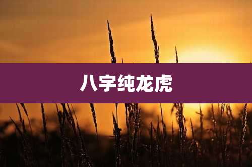 八字纯龙虎