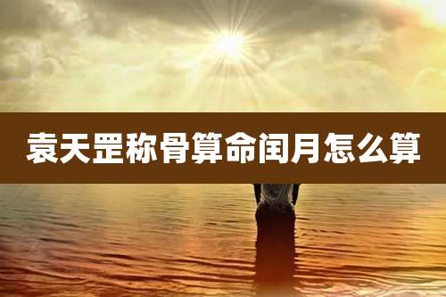 袁天罡称骨算命闰月怎么算