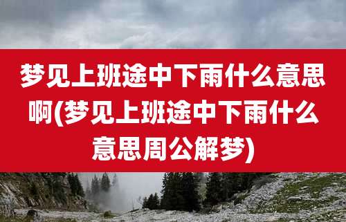 梦见上班途中下雨什么意思啊(梦见上班途中下雨什么意思周公解梦)