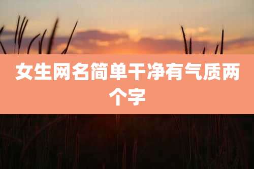 女生网名简单干净有气质两个字