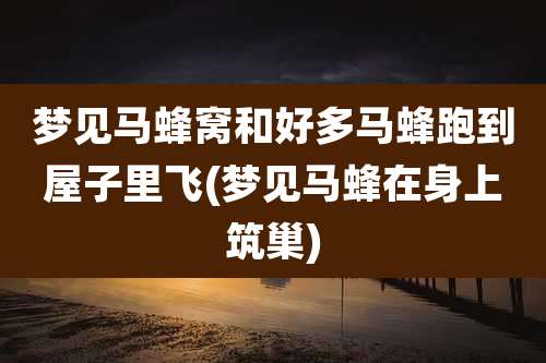 梦见马蜂窝和好多马蜂跑到屋子里飞(梦见马蜂在身上筑巢)