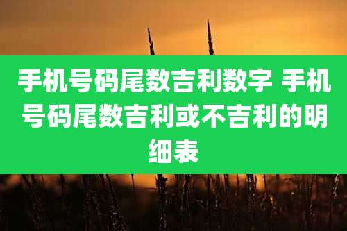 手机号码尾数吉利数字 手机号码尾数吉利或不吉利的明细表
