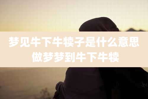 梦见牛下牛犊子是什么意思 做梦梦到牛下牛犊