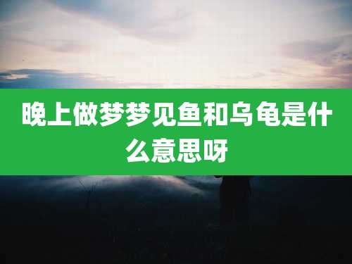 晚上做梦梦见鱼和乌龟是什么意思呀