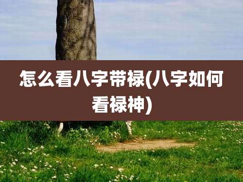 怎么看八字带禄(八字如何看禄神)