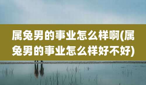 属兔男的事业怎么样啊(属兔男的事业怎么样好不好)