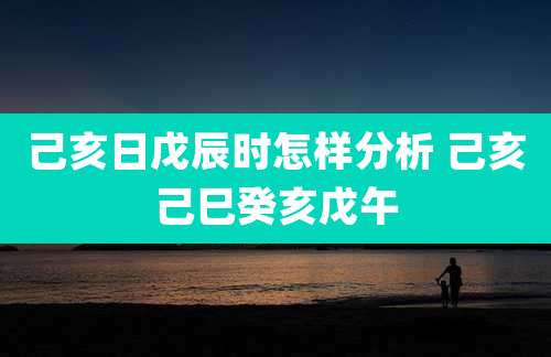 己亥日戊辰时怎样分析 己亥己巳癸亥戊午