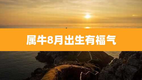 属牛8月出生有福气