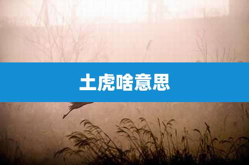 土虎啥意思